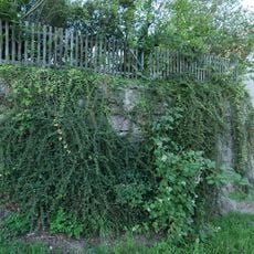 Burgruine Burgstraße 9 (D-5-74-117-2#7)