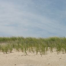Delaware Seashore State Park