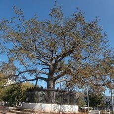 Parque de la Fraternidad
