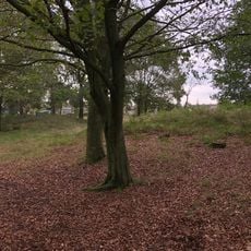 Terrain with two tumuli