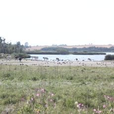 Selsø Sø
