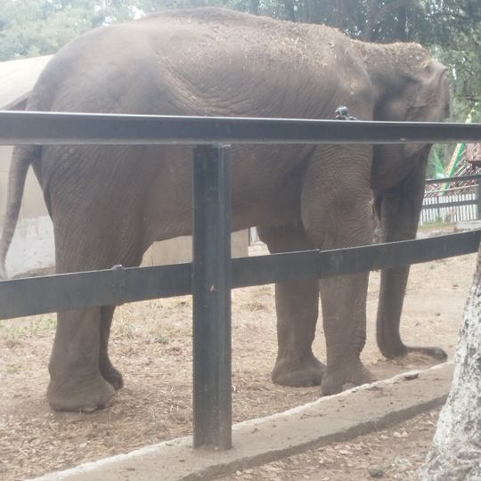 Parc zoologique de Taza