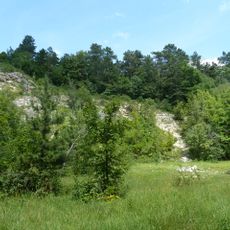 Steinbruch Braunenbäumle