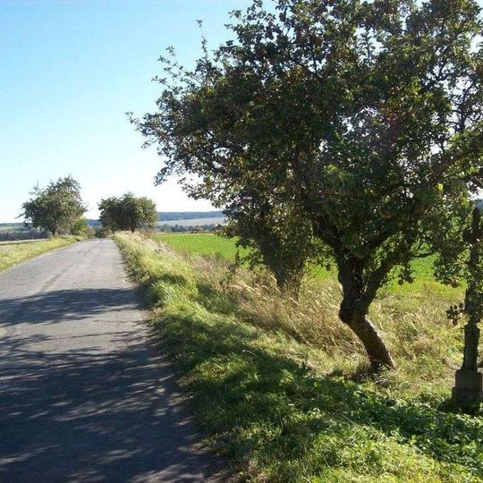 Kříž jižně od Vlčevsi západně od silnice