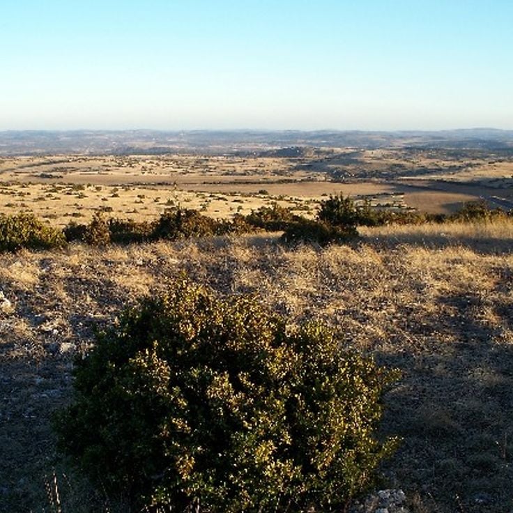 Parque Natural Regional de los Grandes Causses