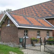 Elsa Hoeve: varkenshok