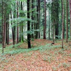 Grabhügelgruppe und römerzeitliches Siedlungsgebiet Otternitz
