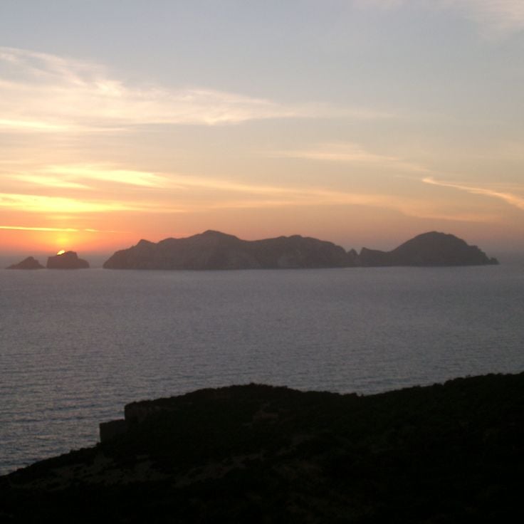Palmarola
