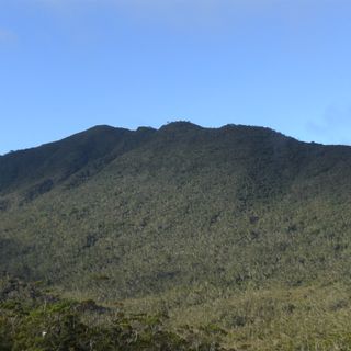Mount Hamiguitan