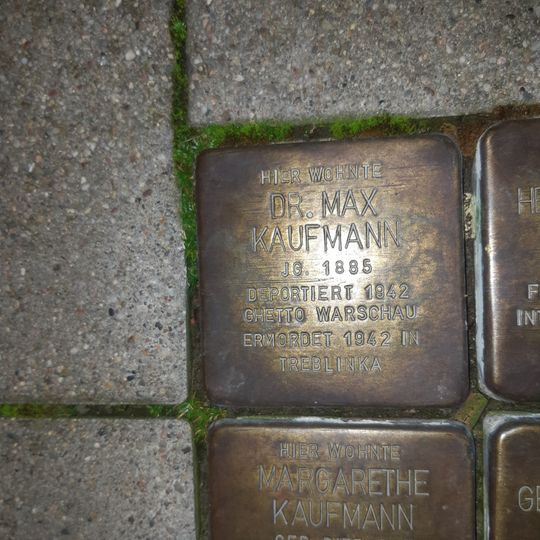 Stolperstein en memoria de Max Dr. Kaufmann