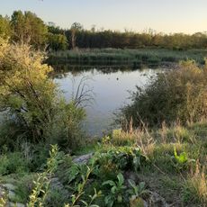 Löserbecken von Weiterstadt