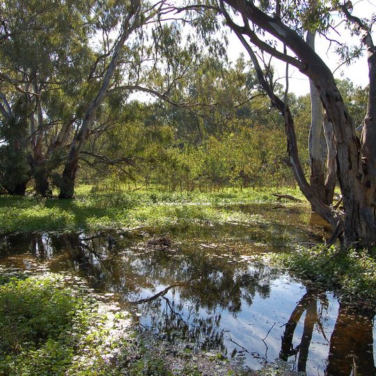 Macquarie Marshes Nature Reserve