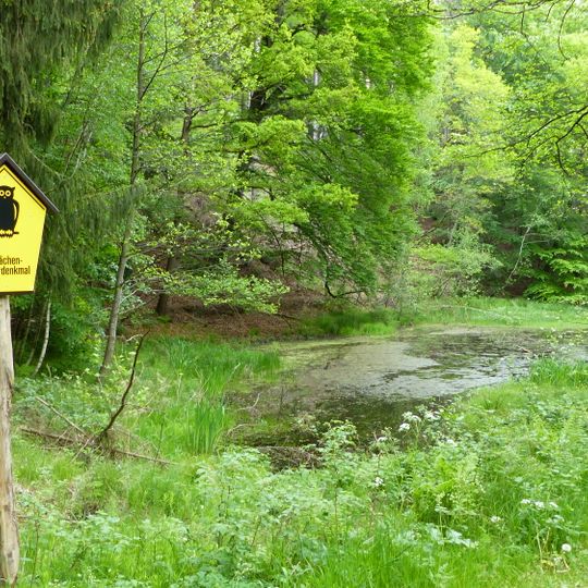 Altarme der Prießnitz