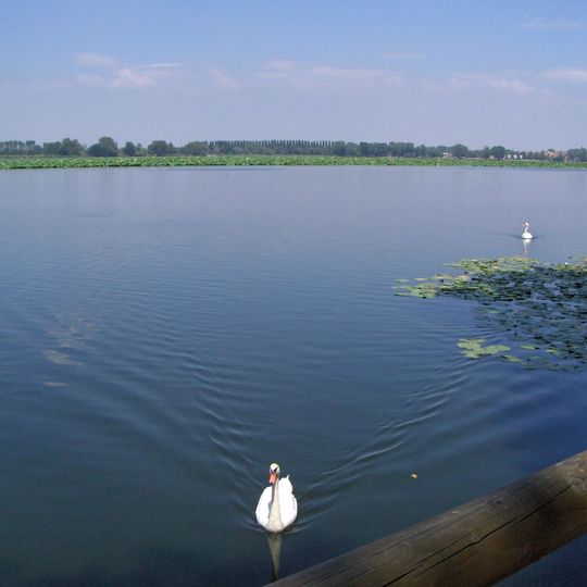 Mantua's lakes