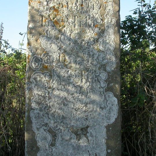 Crowdown Milestone At Ngr Su 2165 5739