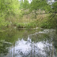 Kiebitzteich