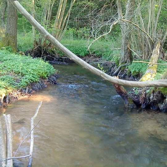 Amphibienfreistätte Speckkahl