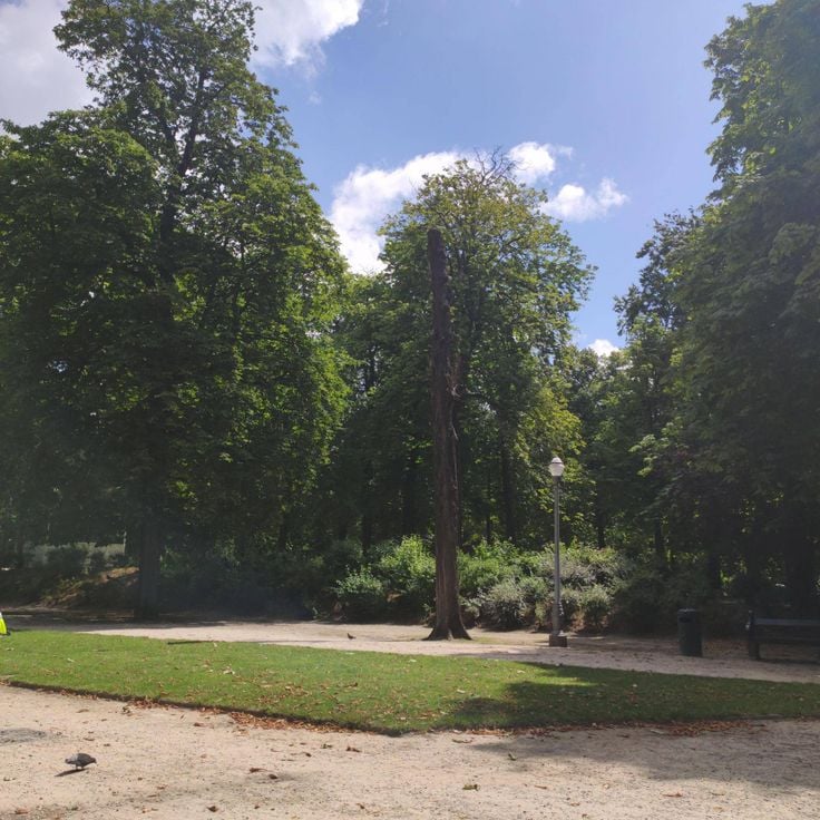 Brüksel Parkı