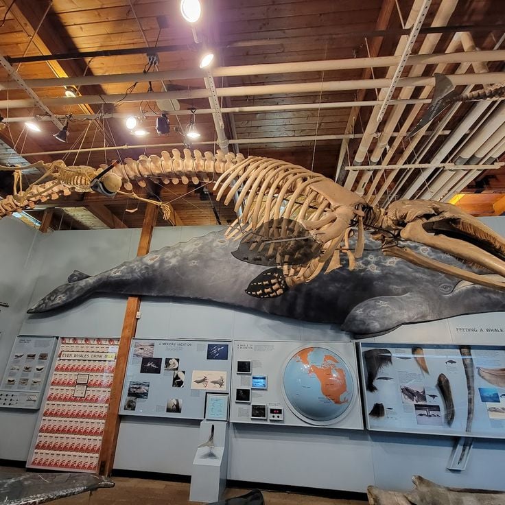 Cabrillo Marine Aquarium