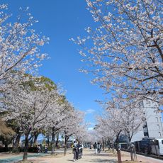 Toyokawa Park