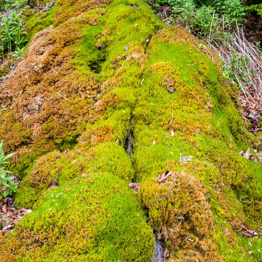 Steinerne Rinne bei Thalheim