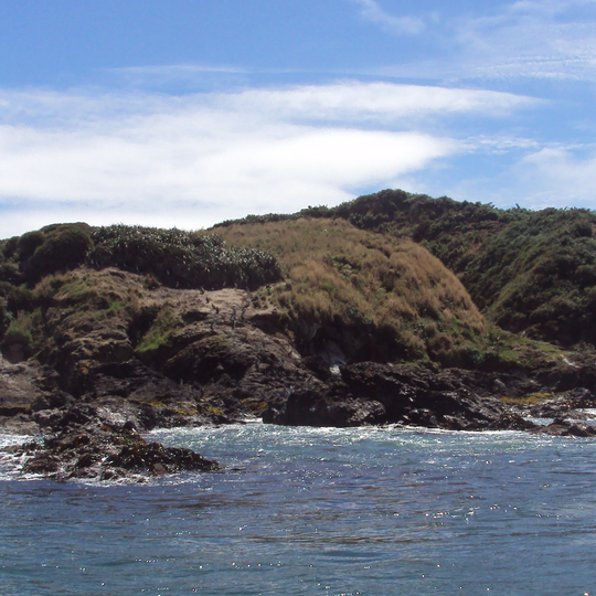 Monumento natural Islotes de Puñihuil