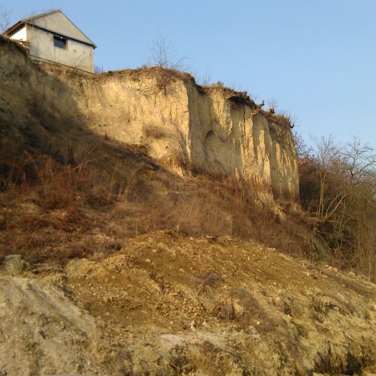 Gorjanović's profile