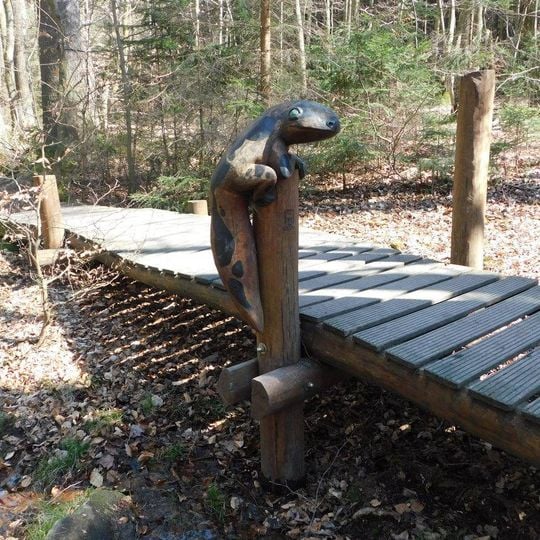 Socha mloka ve Voděradských bučinách