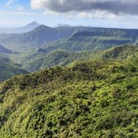 Rivière Noire District