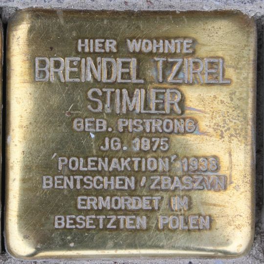 Stolperstein für Breindel Tzirel Stimler