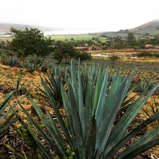 San Juanito de Escobedo