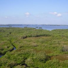Estero Bay Preserve State Park