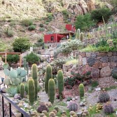 Chirau Mita Botanical Garden