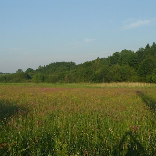 Łąki nad Młynówką