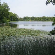 Häckebergasjön