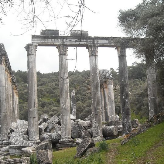 Mylasa