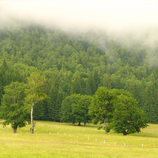 Distretto di Harghita