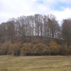 Burgstall Romatsried