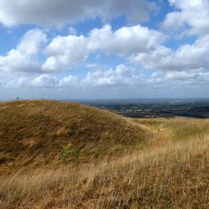 Edburton Castle Ring