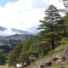 Chiapas Highlands