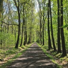 Culture and Recreation Park in Gliwice