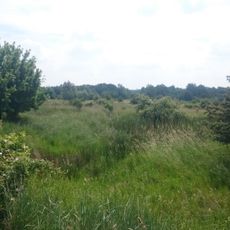 Am Rümpfwald Glauchau