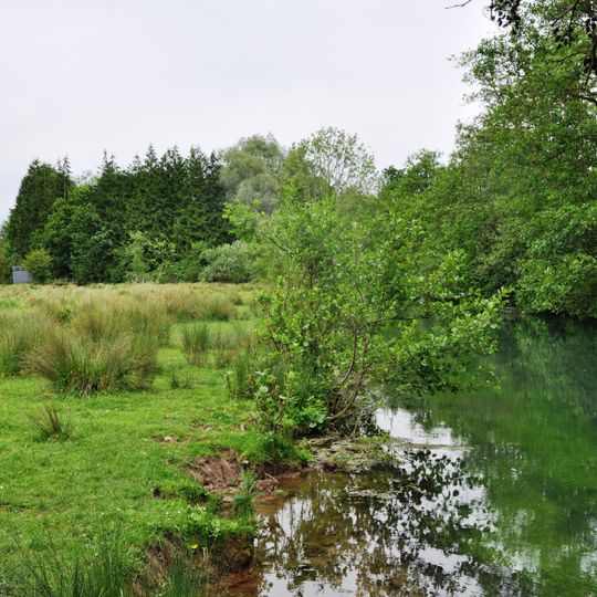 Marais De La Grenouillère