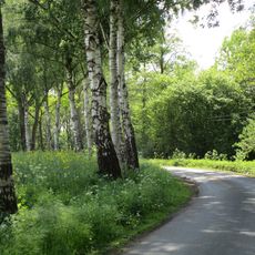 LSG-Eltingmuehlenbach
