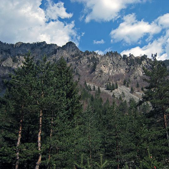 Tsentralen Rilski Rezervat