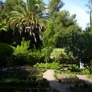 Aussichtspunkte an der Côte d'Azur: natürliche Aussichtspunkte, auf Bergkuppen gelegene Dörfer und weite Ausblicke