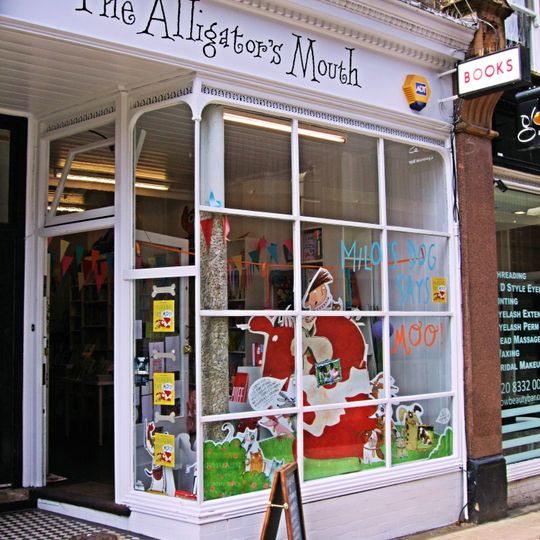 The Alligator's Mouth