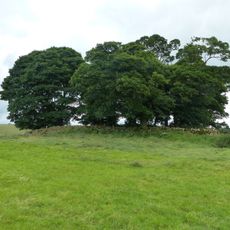 Sharp Low bowl barrow