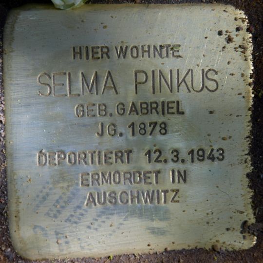 Stolperstein en memoria de Selma Pinkus