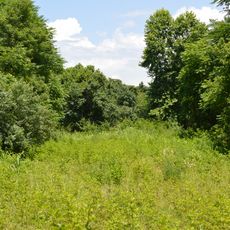 Elm Hill Archaeological Site
